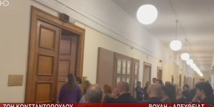 Alldaynews.gr Τη σύλληψη του «Φραπέ» ζητά η Κωνσταντοπούλου – «Απείλησε ότι θα μου στρίψει το λαρύγγι» (video)