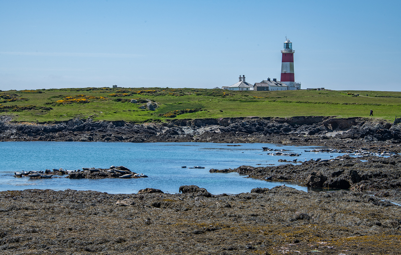 Μπάρντσεϊ Ουαλία Μπάρντσεϊ Ουαλία