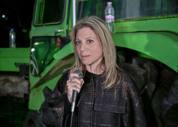 Η Μαρία Καρυστιανού στο μπλόκο της Νίκαιας: «Θα τα καταφέρετε αν μείνετε ενωμένοι» – Τι είπε για το νέο κόμμα (video)