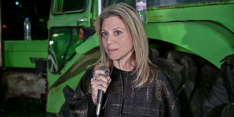 Alldaynews.gr Η Μαρία Καρυστιανού στο μπλόκο της Νίκαιας: «Θα τα καταφέρετε αν μείνετε ενωμένοι» – Τι είπε για το νέο κόμμα (video)