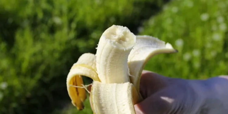 Πώς λέγονται τα «νήματα» της μπανάνας και γιατί αξίζει να τα τρώμε