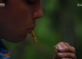 Survivor – Αθηναίοι VS Επαρχιώτες: Έφαγε… «αστακοκαβουρογαριδοκόχυλο» που βρήκε στο έδαφος  (video)