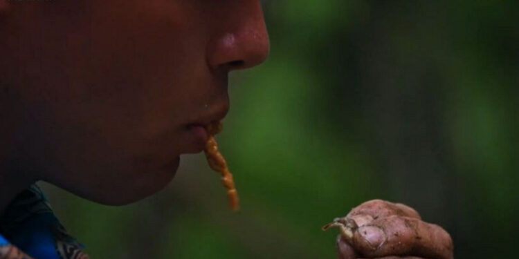 Survivor – Αθηναίοι VS Επαρχιώτες: Έφαγε… «αστακοκαβουρογαριδοκόχυλο» που βρήκε στο έδαφος  (video)