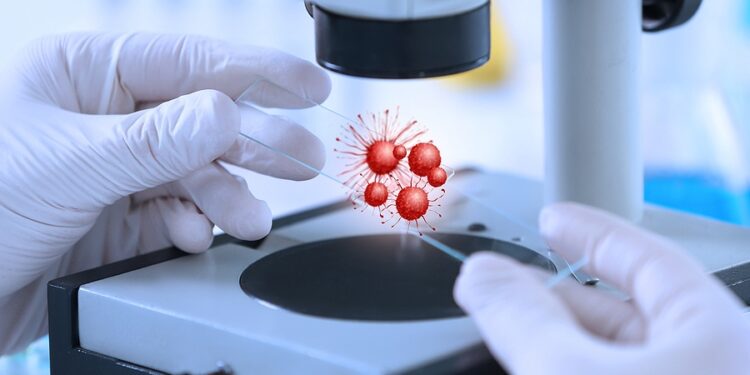 Στοματικό σεξ