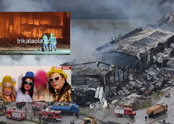 Alldaynews.gr Βιολάντα