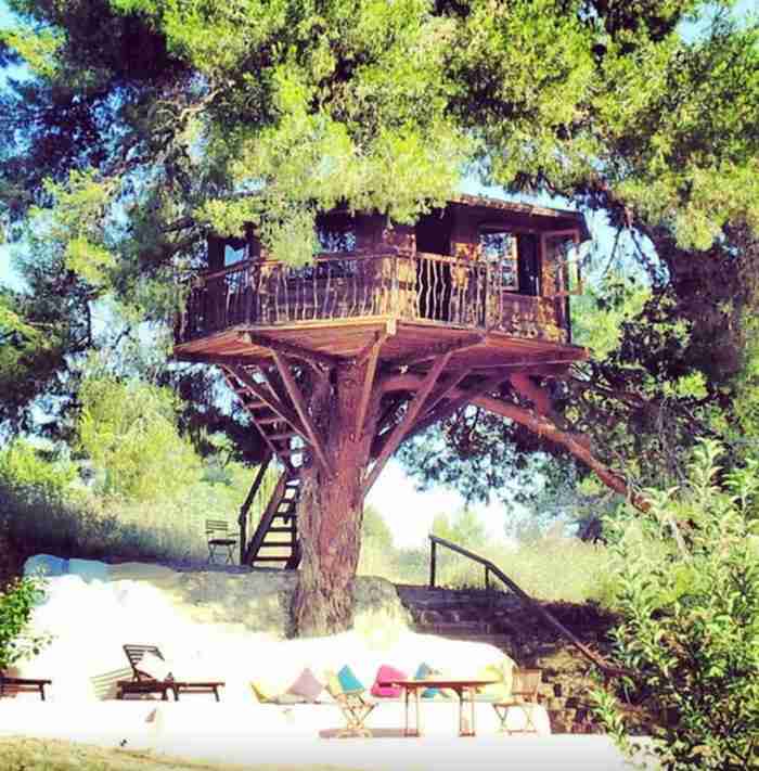 Το ζευγάρι που έφτιαξε στην Αμαλιάδα το ωραιότερο δεντρόσπιτο στην Ελλάδα Το ζευγάρι που έφτιαξε στην Αμαλιάδα το ωραιότερο δεντρόσπιτο στην Ελλάδα