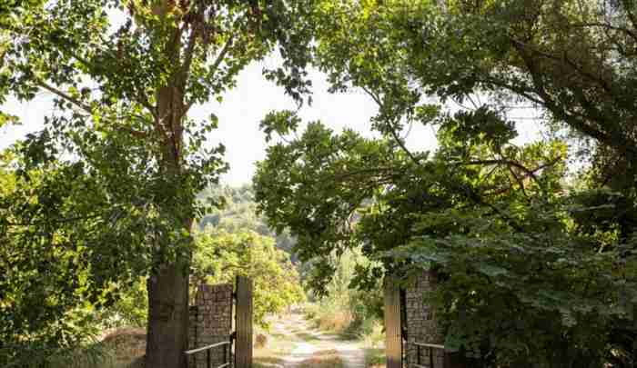 Το ζευγάρι που έφτιαξε στην Αμαλιάδα το ωραιότερο δεντρόσπιτο στην Ελλάδα Το ζευγάρι που έφτιαξε στην Αμαλιάδα το ωραιότερο δεντρόσπιτο στην Ελλάδα