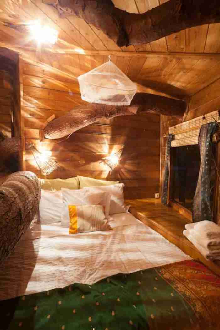 Το ζευγάρι που έφτιαξε στην Αμαλιάδα το ωραιότερο δεντρόσπιτο στην Ελλάδα Το ζευγάρι που έφτιαξε στην Αμαλιάδα το ωραιότερο δεντρόσπιτο στην Ελλάδα