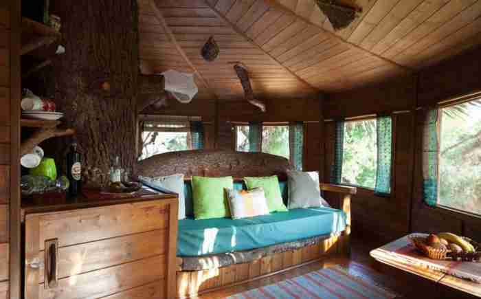 Το ζευγάρι που έφτιαξε στην Αμαλιάδα το ωραιότερο δεντρόσπιτο στην Ελλάδα Το ζευγάρι που έφτιαξε στην Αμαλιάδα το ωραιότερο δεντρόσπιτο στην Ελλάδα