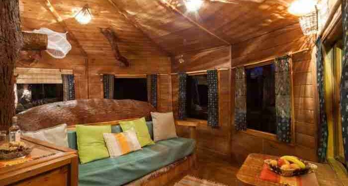 Alldaynews.gr Το ζευγάρι που έφτιαξε το ωραιότερο δεντρόσπιτο στην Ελλάδα και έχει τρελάνει το Airbnb (ΦΩΤΟ)