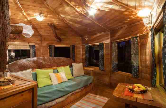 Το ζευγάρι που έφτιαξε στην Αμαλιάδα το ωραιότερο δεντρόσπιτο στην Ελλάδα Το ζευγάρι που έφτιαξε στην Αμαλιάδα το ωραιότερο δεντρόσπιτο στην Ελλάδα