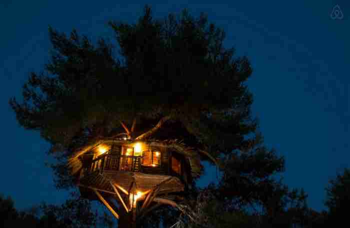 Το ζευγάρι που έφτιαξε στην Αμαλιάδα το ωραιότερο δεντρόσπιτο στην Ελλάδα Το ζευγάρι που έφτιαξε στην Αμαλιάδα το ωραιότερο δεντρόσπιτο στην Ελλάδα