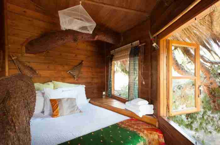 Το ζευγάρι που έφτιαξε στην Αμαλιάδα το ωραιότερο δεντρόσπιτο στην Ελλάδα Το ζευγάρι που έφτιαξε στην Αμαλιάδα το ωραιότερο δεντρόσπιτο στην Ελλάδα