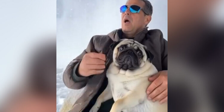 Πάνος Καμμένος: Με σκύλο αγκαλιά σε χιόνια Α.Ι. κοροϊδεύει τους Ευρωπαίους για τη Γροιλανδία