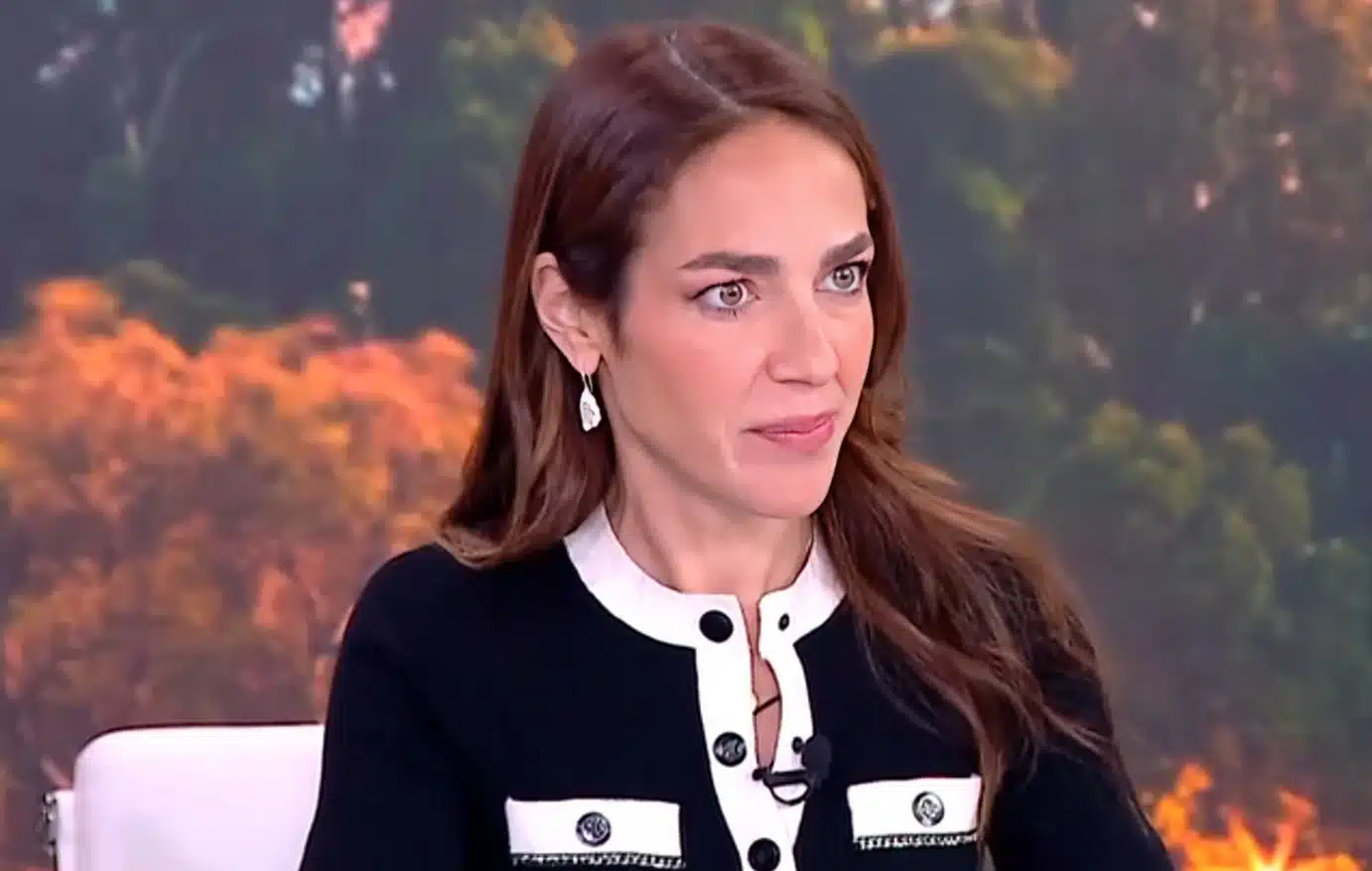 Δόμνα Μιχαηλίδου: «Δεν περίμενα να χρησιμοποιήσει η κ. Καρυστιανού τον προσωπικό πόνο της ως βατήρα για πολιτική ανέλιξη» 1 mixailidou 1