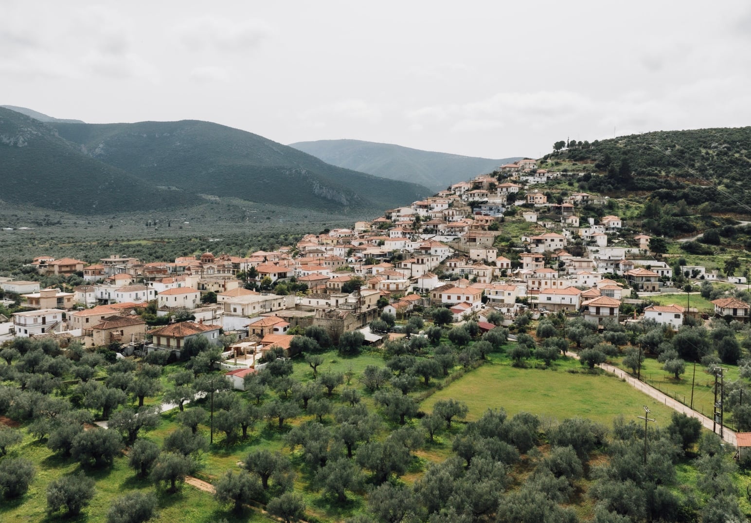 stigmiotypo othonis 2025 06 25 17.43.04