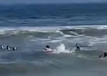 Σώθηκαν από πνιγμό ο Μάρτιν Ντεμικέλις και η οικογένειά του: Δραματική διάσωση από σέρφερ (video)