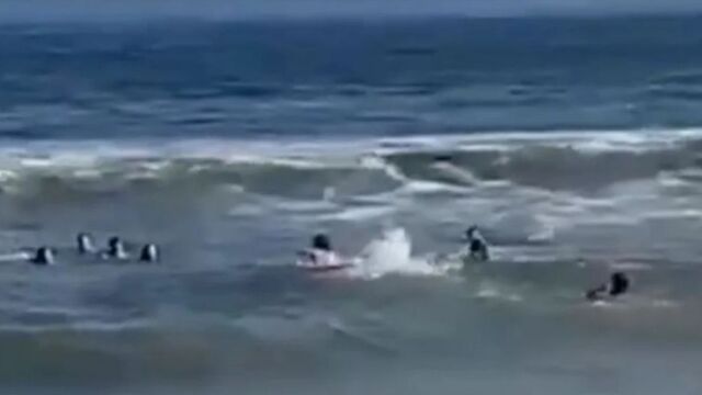 Σώθηκαν από πνιγμό ο Μάρτιν Ντεμικέλις και η οικογένειά του: Δραματική διάσωση από σέρφερ (video)