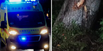 Τραγωδία σε τροχαίο με ανήλικους: Το αμάξι καρφώθηκε σε δέντρο, εκσφενδονίστηκε ο νεκρός 15χρονος – «Τι έκανα», είπε ο συνομήλικος οδηγός (video)