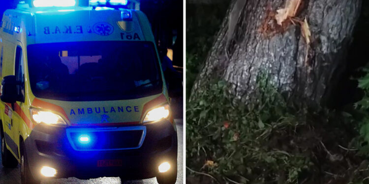 Τραγωδία σε τροχαίο με ανήλικους: Το αμάξι καρφώθηκε σε δέντρο, εκσφενδονίστηκε ο νεκρός 15χρονος – «Τι έκανα», είπε ο συνομήλικος οδηγός (video)