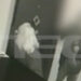 Alldaynews.gr Βίντεο – ντοκουμέντο: Η στιγμή που ο 64χρονος προσπαθεί να κακοποιήσει σεξουαλικά την 25χρονη ΑμεΑ στην Κυψέλη