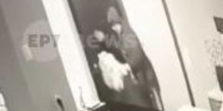 Βίντεο-σοκ με τον 64χρονο να δέρνει τη μητέρα των 25χρονων όταν τον έπιασε στα «πράσα» (video)