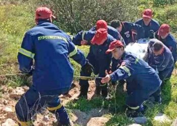 Έτρεχε για να δώσει ύψος στον χαρταετό και έπεσε σε γκρεμό 7 μέτρων (video)