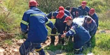 Έτρεχε για να δώσει ύψος στον χαρταετό και έπεσε σε γκρεμό 7 μέτρων (video)