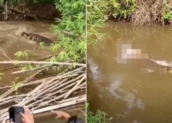 Φρίκη: Γιγάντιος κροκόδειλος αναδύεται με το άψυχο σώμα γυναίκας μπροστά σε δεκάδες ανθρώπους (video)