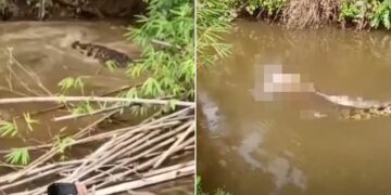 Alldaynews.gr Φρίκη: Γιγάντιος κροκόδειλος αναδύεται με το άψυχο σώμα γυναίκας μπροστά σε δεκάδες ανθρώπους (video)