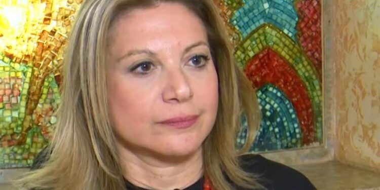 Alldaynews.gr Θα σκεφτόσασταν να ψηφίσετε το κόμμα της Μαρίας Kαρυστιανού;