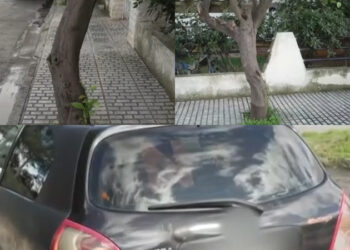 «Μανούλα μου, άνοιξε τα μάτια!» – Μαθεύτηκε όλη η αλήθεια για την κόρη που σκότωσε την ίδια της την μητέρα με το αυτοκίνητο στην Ελευσίνα