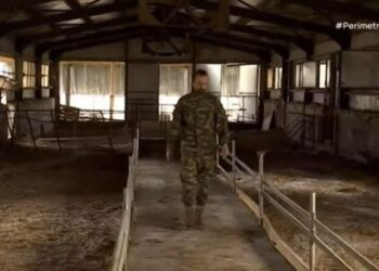 Κτηνοτρόφος που έχασε 814 πρόβατα παραμένει στον τόπο του να ξαναδημιουργήσει το κοπάδι του