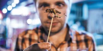 Θα τρώμε έντομα χωρίς να το ξέρουμε; Το σχέδιο, οι φόβοι και η ελληνική πραγματικότητα