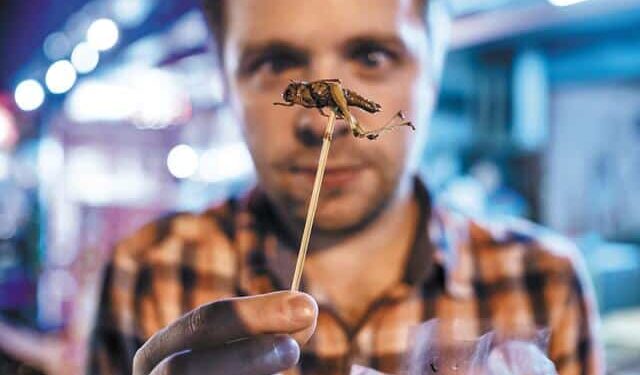 Θα τρώμε έντομα χωρίς να το ξέρουμε; Το σχέδιο, οι φόβοι και η ελληνική πραγματικότητα