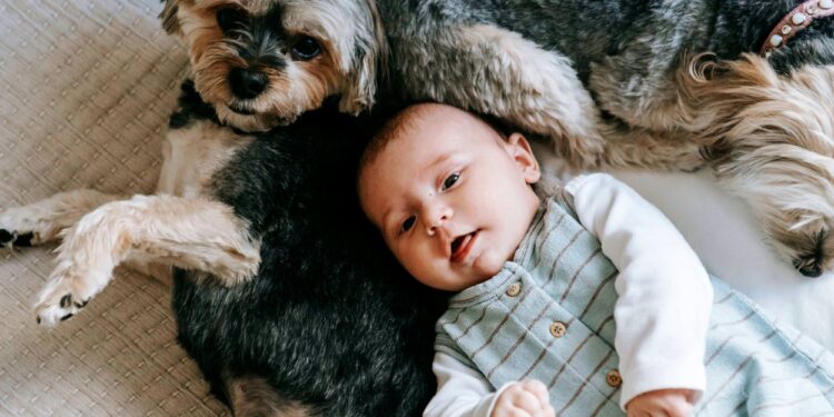 Περίεργοι καιροί: Περισσότεροι οι σκύλοι παρά τα παιδιά