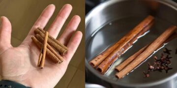 Η κανέλα σε συνδυασμό με τα γαρίφαλα είναι ένα μυστικό που εύχομαι να είχα μάθει νωρίτερα