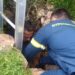 Διάσωση σκύλου από πηγάδι 15 μέτρων τον έψαχναν 10 μέρες οι κηδεμόνες του
