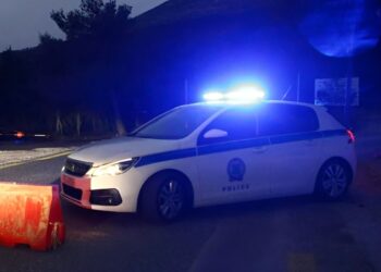 ΑΓΡΙΟ ΦΟΝΙΚΟ ΠΡΙΝ ΛΙΓΟ – ΠΗΡΕ ΤΟ ΤΣΕΚΟΥΡΙ ΚΑΙ ΤΟΝ ΣΚΟΤΩΣΕ