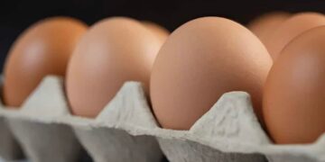 Μέγα σκάνδαλο με τα ελληνικά αυγά – Οι καταναλωτές τα αγοράζουν και δεν παίρνουν χαμπάρι – Τι συμβαίνει
