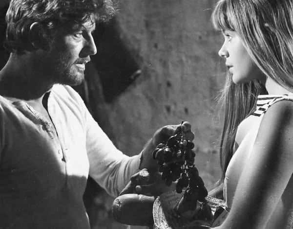 558276561 10236918287164675 130174201368592494 n