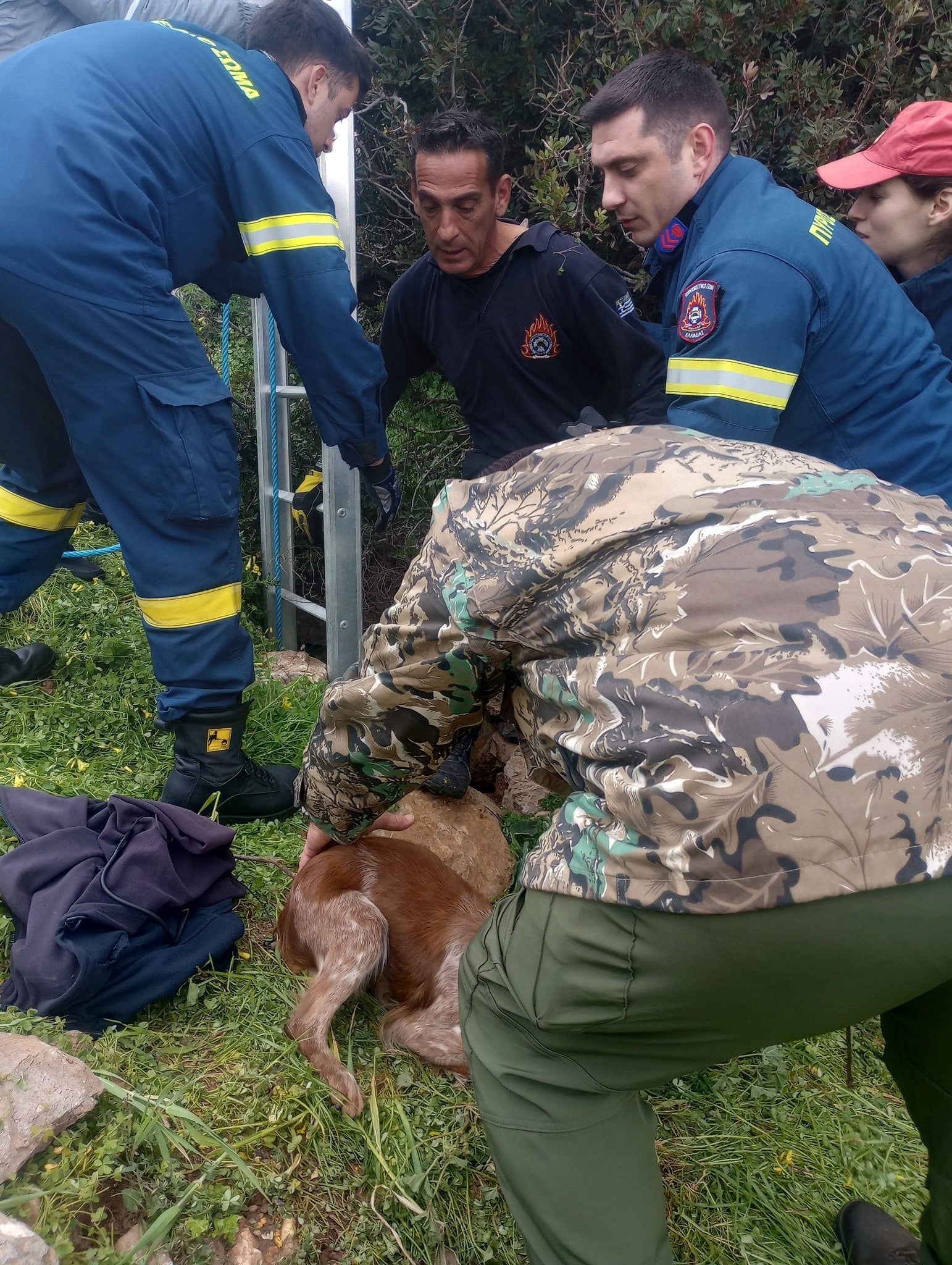 643108070 122111406519228867 1015662379126207135 n