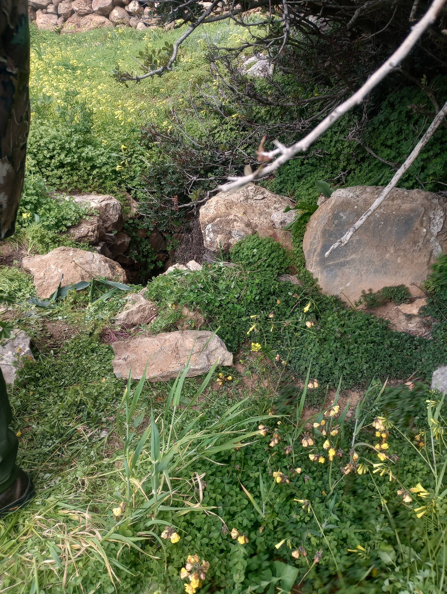 645097935 122111406555228867 3031550920240751274 n