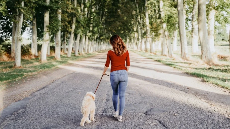 Alldaynews.gr Από τη βελτίωση της καρδιαγγειακής λειτουργίας έως την ενίσχυση της διάθεσης και της ποιότητας του ύπνου, το περπάτημα εντάσσεται σταθερά στις βασικές συστάσεις των ειδικών