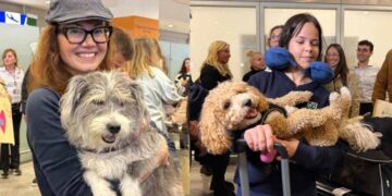 Συγκίνηση στο Ελ. Βενιζέλος με την επιχείρηση «Κιβωτός» για 100 ζωάκια και τους ιδιοκτήτες τους από το Ντουμπάι (video)