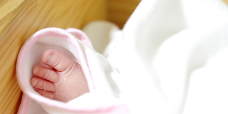 Alldaynews.gr «Το δάγκωναν τα ξαδέρφια του, έπεσε από το καρότσι»: Οι δικαιολογίες της μητέρας του βρέφους – Φρικιαστικά τα ευρήματα