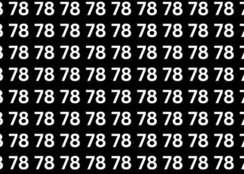 Οπτική πρόκληση: Κάπου εδώ κρύβεται το 87 – Μπορείς να το βρεις μέσα σε 7 δευτερόλεπτα;