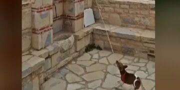 Σκύλος χτυπάει την…καμπάνα εκκλησίας (video)