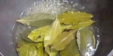 Τώρα, πριν το Πάσχα και την πολλή ζέστη, βάλτε αυτό μεσα στο σπίτι σας και δεν πρόκειται να δείτε ξανά μύγα, κουνούπι και κατσαρίδα