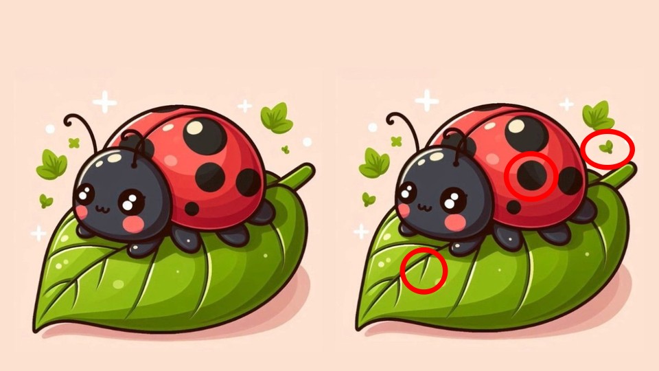 Alldaynews.gr Τεστ παρατηρητικότητας, διαφορές, πασχαλίτσα